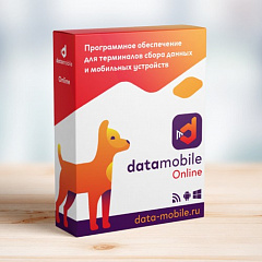 DataMobile, версия Online в Иваново