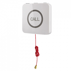Кнопка вызова iBells 310S влагозащищенная со шнуром для МГН в Иваново